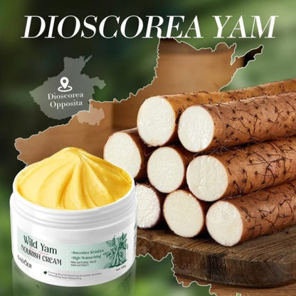SADOER Wild Yam Nourish Cream Anti-wrinkle cream with 98% natural Wild